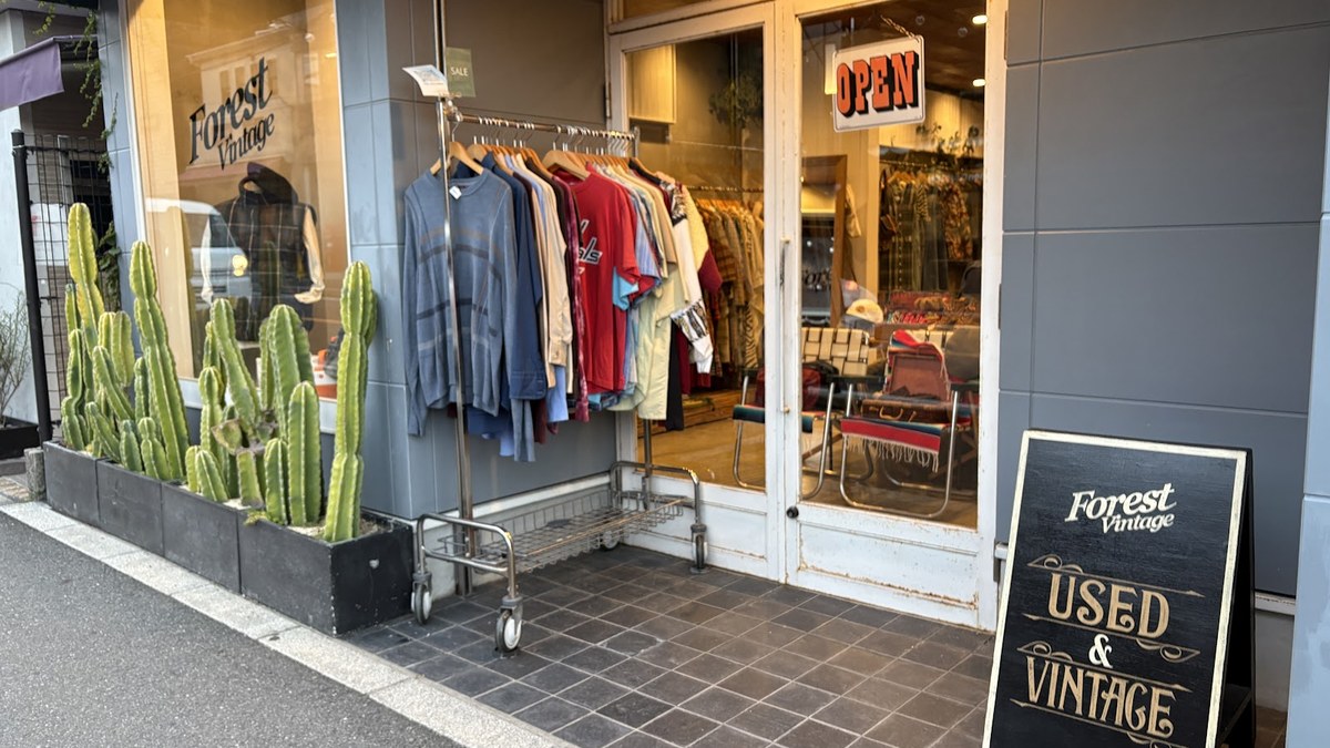 Forest vintage｜店舗の様子