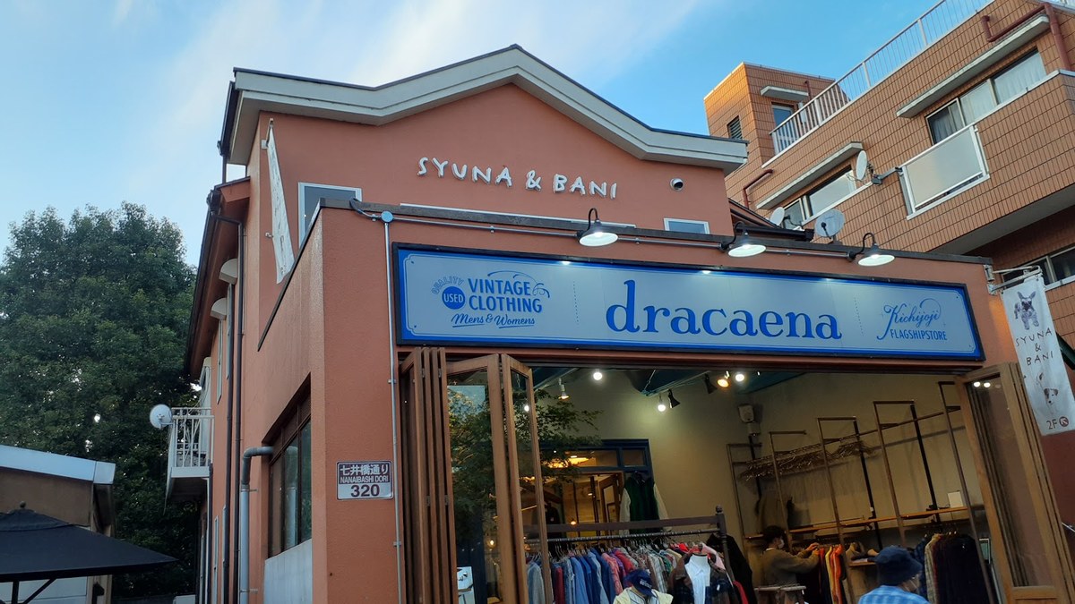 dracaena（ドラセナ）吉祥寺本店｜店舗の様子