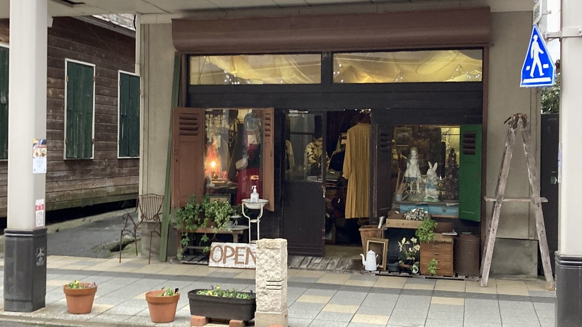 LIGHT CAVE ATTIC OF ALICE｜店舗の様子